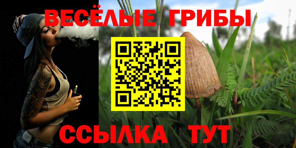 Саров  как найти закладки  Вход с VPN  Галлюциногенные грибы Cubensis 